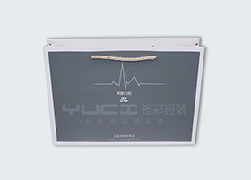 Portable paper bag 2