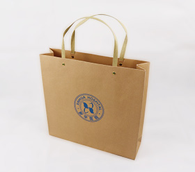 Portable paper bag 9